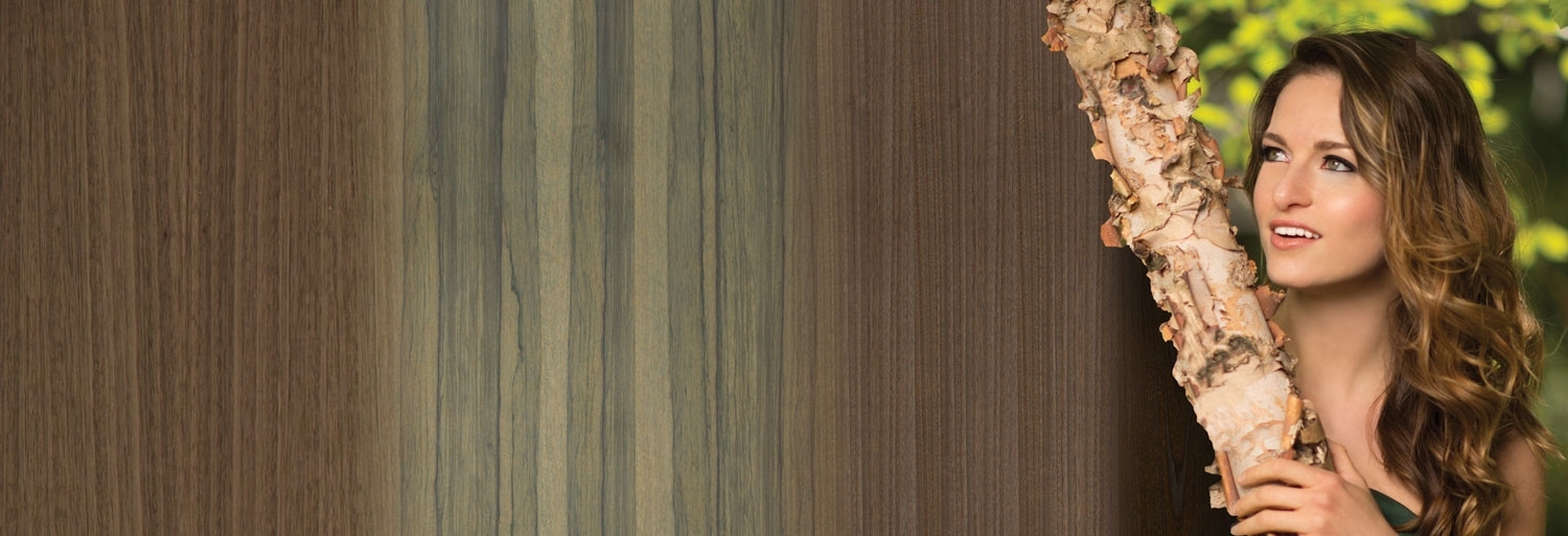 new_veneerart_back_slide1_v2.jpg